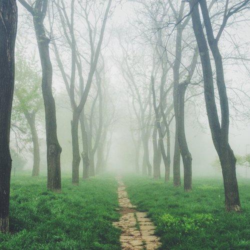 Будущее