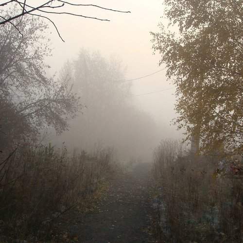 Photo #1989328