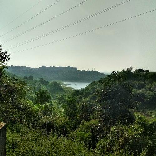 nature