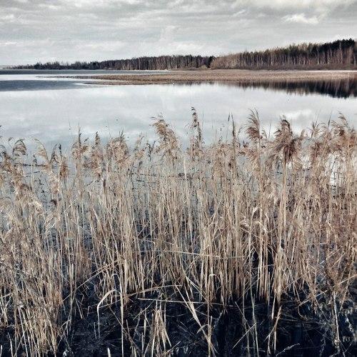 Photo #1992073