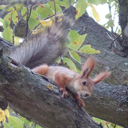 Photo #1993164