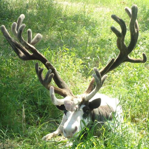 Photo #1994586