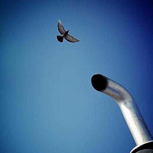 Unique on sky