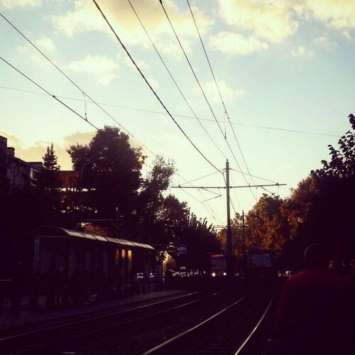 Photo #1995276