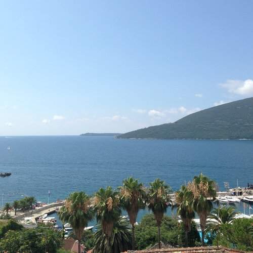 Photo #1995908