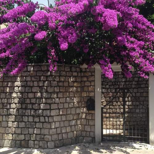 Photo #1995919
