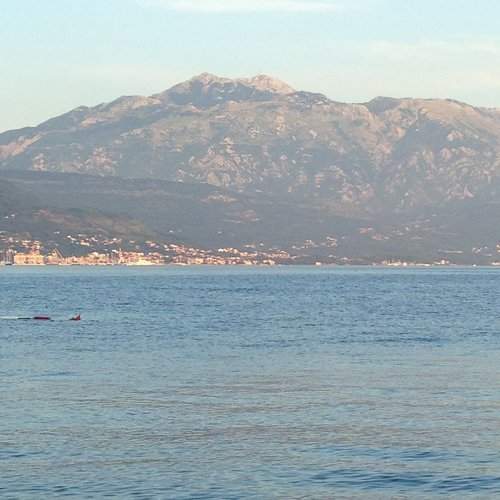 Photo #1995921