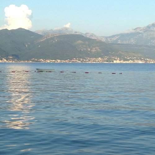 Photo #1995950
