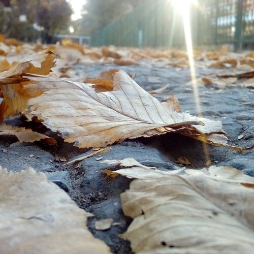Осень