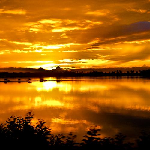 Sun Rise