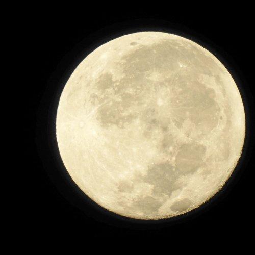 The moon