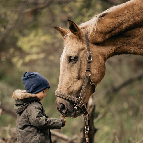 Знакомство)