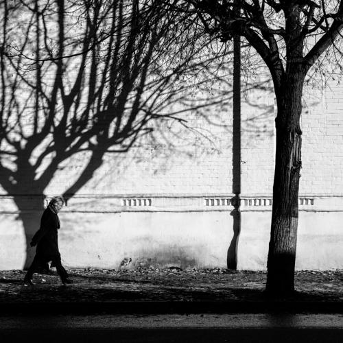 Photo #1998070