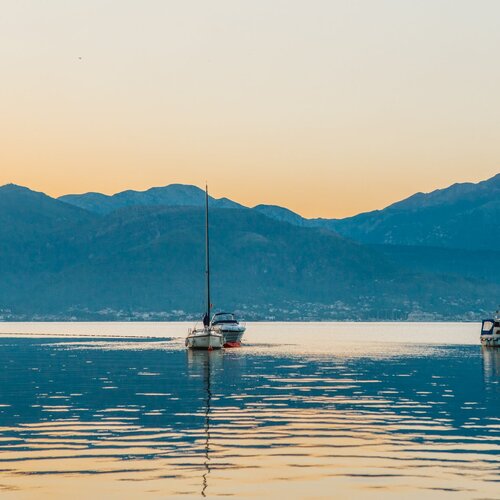 Photo #1998099