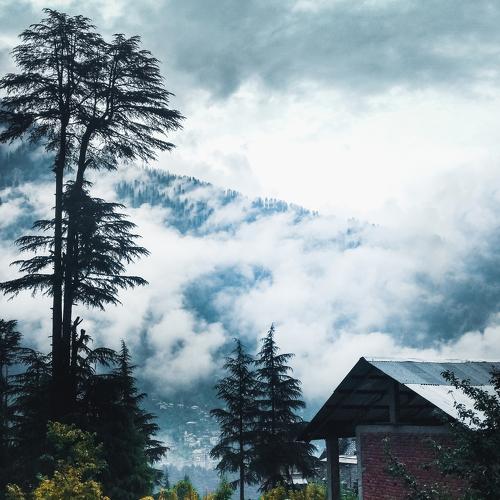The Mist