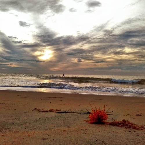 sunrise