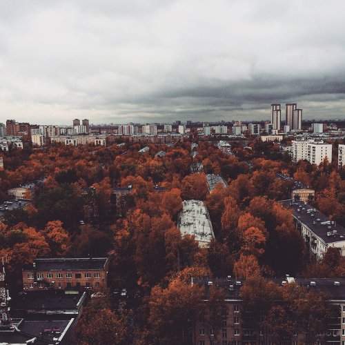 Photo #1999464