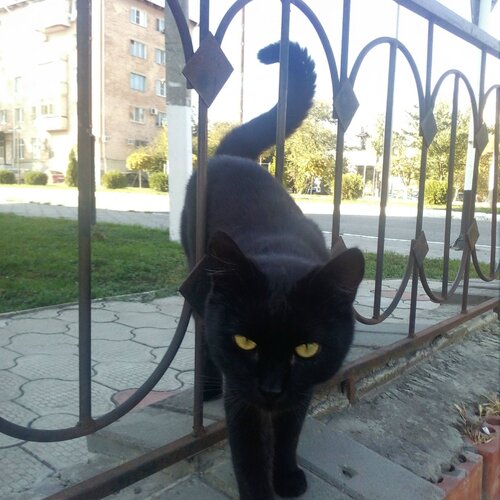 Вопросик
