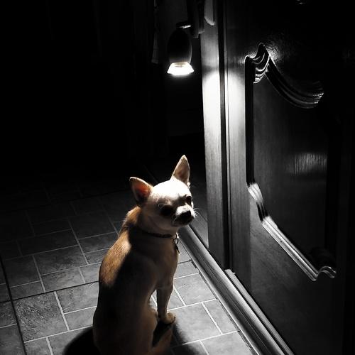 Photo #2000804