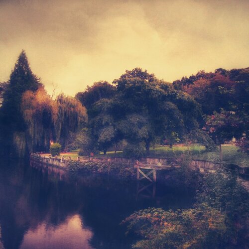 Pictorial Quiet