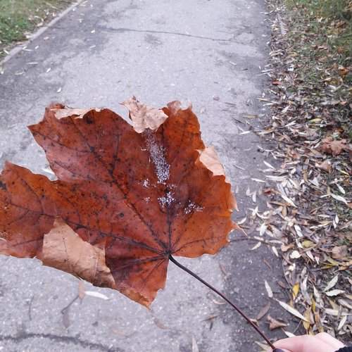 Photo #2002284