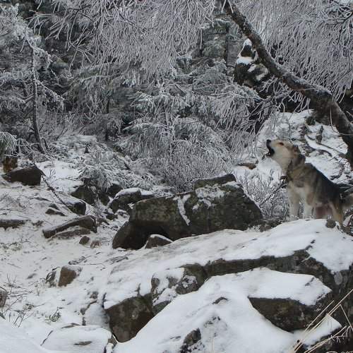 Photo #2002459