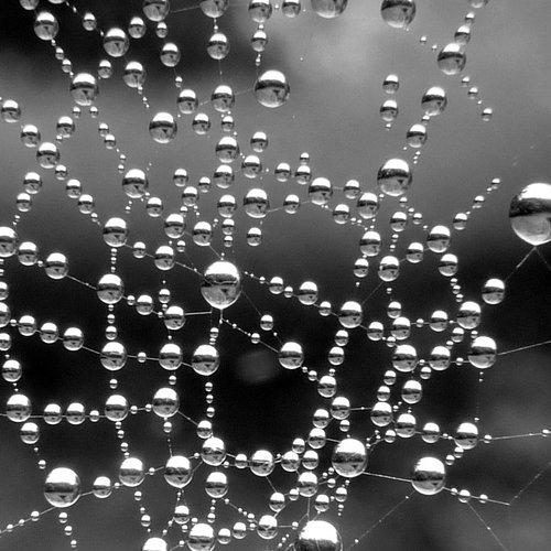 bubbles