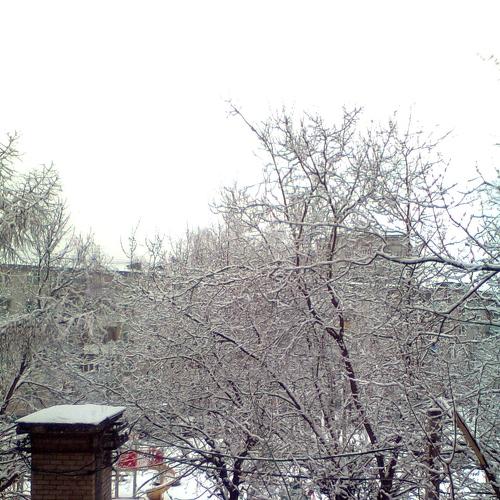 Первый снег