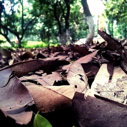 In a nearby park.