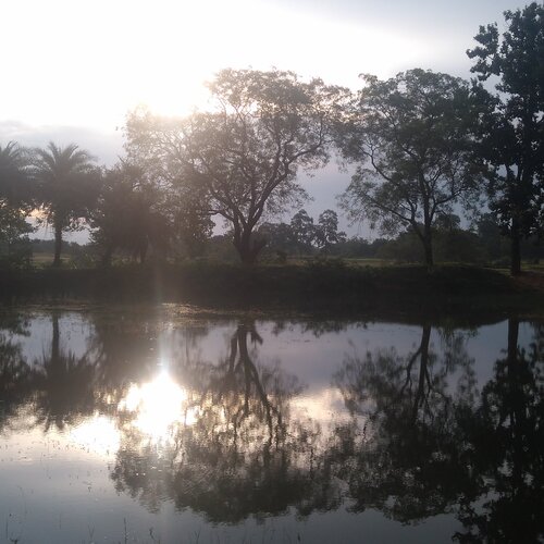 WATER MIRROR BY NATURE