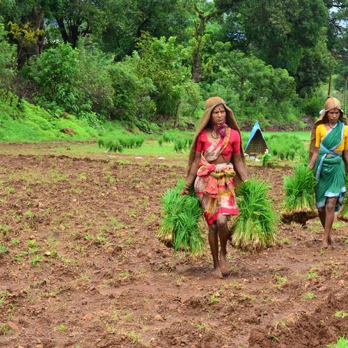 Farmer Women