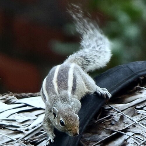Photo #2004581