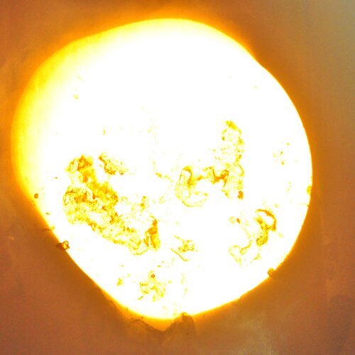 DNO PLANETI