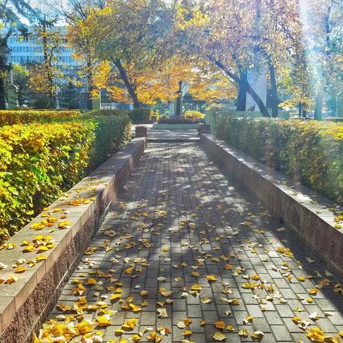 Перспектива