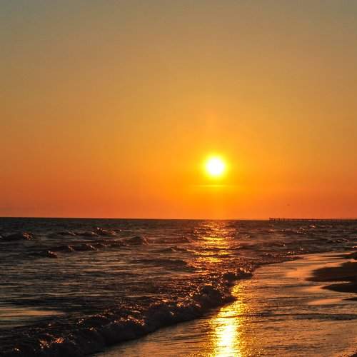 Photo #2006489