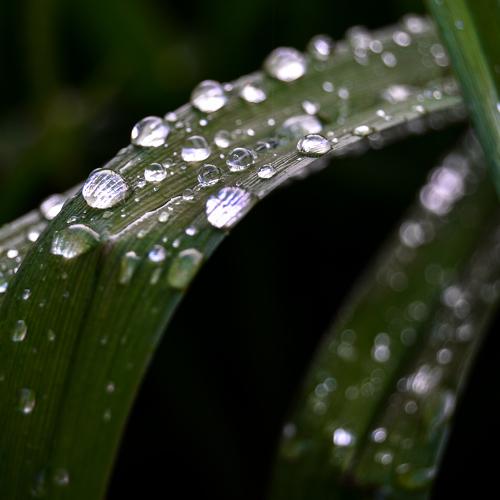 Photo #2006622