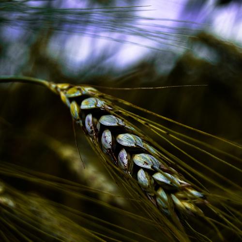 Photo #2008002