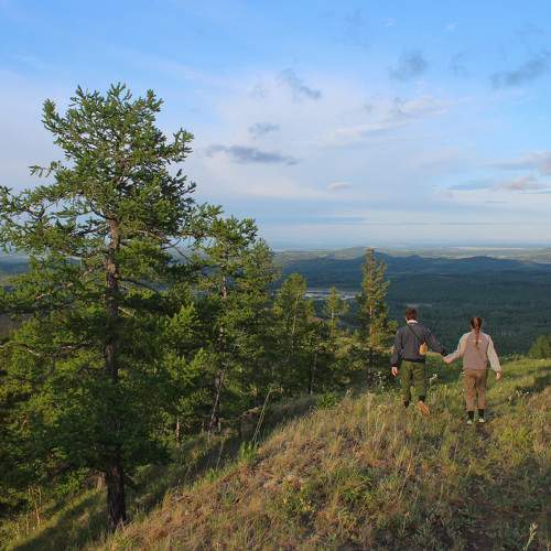 Photo #2008546
