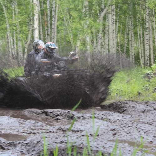 Photo #2008573