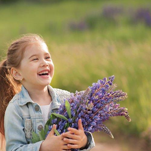 Photo #2008638