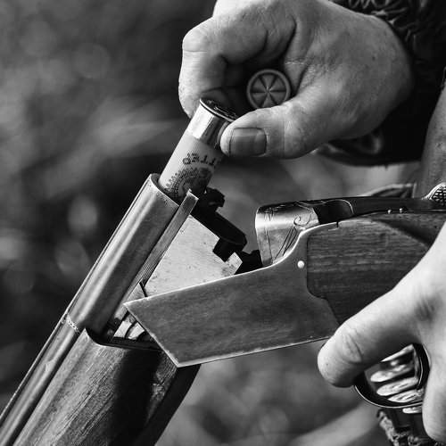 Photo #2008853