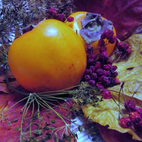 Photo #2009633