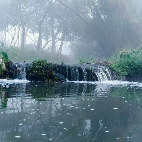 Foggy morning