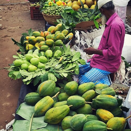 Fruits anyone