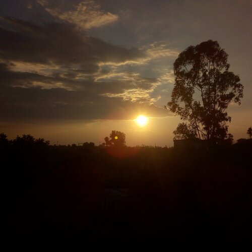 A pearl by the dusk...