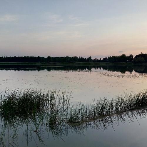 Утренняя гладь воды