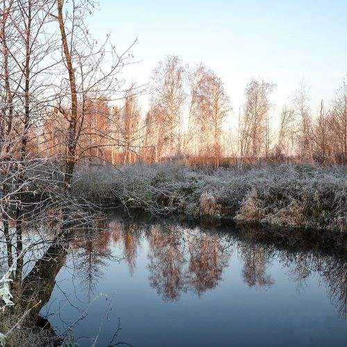 Photo #2018784