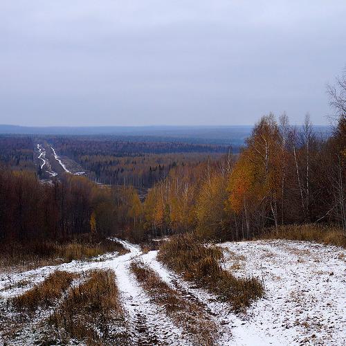 Первый снег.