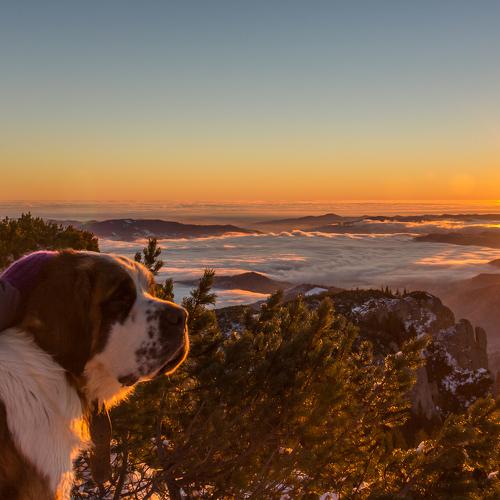 Sunrise