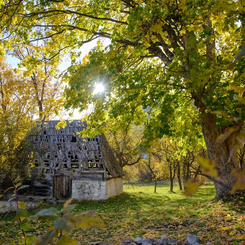 Autumn is the second spring when every leaf is flower
